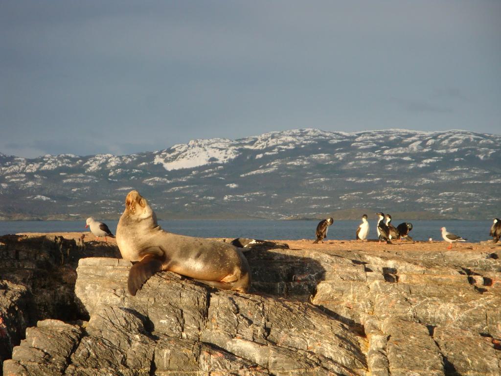 Bagu Ushuaia Hotel Zewnętrze zdjęcie